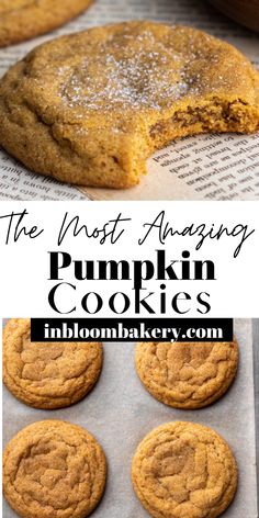 the most amazing pumpkin cookies i've ever seen, and they are so good