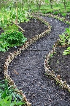 an image of a garden path made out of sticks and plants in the middle of it