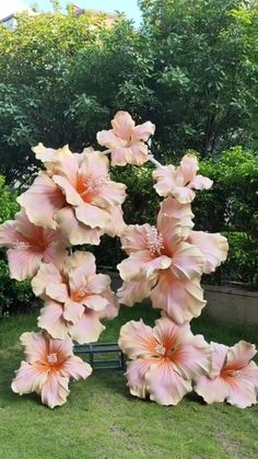 large pink flowers are arranged in the shape of letters n and w on green grass