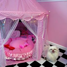 a small white dog sitting in front of a pink bed with mosquito netting on it