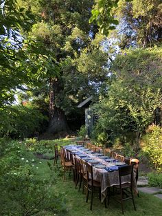 a long table set up in the middle of a garden