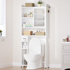 a white toilet sitting inside of a bathroom next to a shelf filled with personal care items