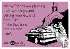 someecards are planning their wedding and getting married, and here i am i'm like that tree that's a nice tree