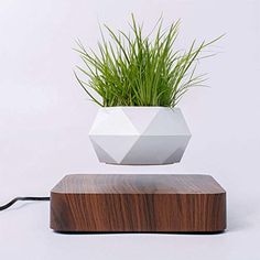 a white planter sitting on top of a wooden stand next to a green plant