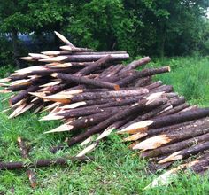 a pile of logs sitting on top of a lush green field