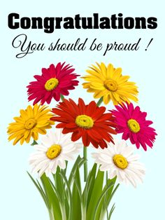 congratulations card with colorful daisies in a vase