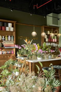 a room filled with lots of potted plants next to a counter and shelves full of books