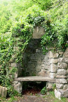 an old stone bench sitting in the middle of a forest covered with green leaves and vines