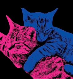 two cats laying next to each other on top of a black background with pink and blue colors