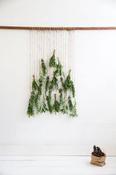 some plants are hanging on a white wall