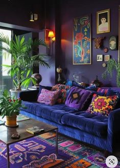 a living room filled with purple couches and colorful rugs