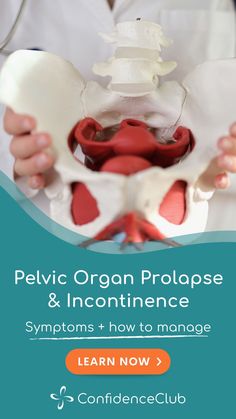 Pelvic Organ Prolapse And Incontinence: Symptoms and How to Manage. Here's everything you need to know about pelvic organ prolapse. In this article, we explain how a pelvic organ prolapse can lead to incontinence, as well as ways to manage the condition. #PelvicHealth #Incontinence #WomensHealth | ConfidenceClub Postpartum Incontinence, Incontinence Exercises, Bladder Exercises, Pelvic Organ Prolapse, Pelvic Region