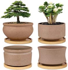 three potted plants in different shapes and sizes, each with a small tree on top