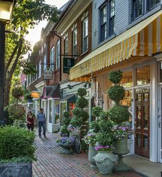 people are walking down the street in front of shops and flower pots with plants on them