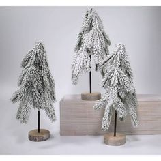 three small trees are sitting on wooden bases with snow covered branches in the middle and bottom