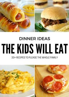 the kids will eat 20 + recipes to please the whole family - dinner ideas for families