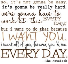 a quote from the notebook that says, it's not going to really hard