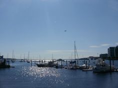 several boats are docked in the water near a dock with buildings on either side and an airplane flying overhead