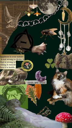 a collage of images with animals, plants and other things on it's surface