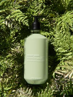 a green bottle sitting on top of a lush green tree