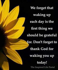 a sunflower with the words, we forget that waking up each day is the first thing we should be grateful for