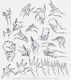 some hand drawn images of birds and plants