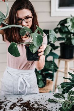 a woman watering plants with water from a pot