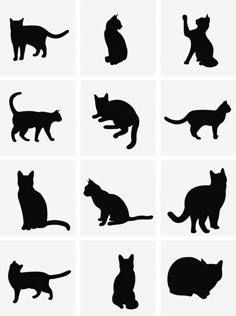 silhouettes of cats sitting and standing in different positions