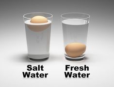 two glasses with eggs in them and the words agua con sal, aqua sin sal