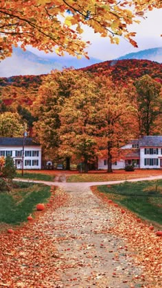 an autumn scene with leaves on the ground and houses in the background, surrounded by fall foliage