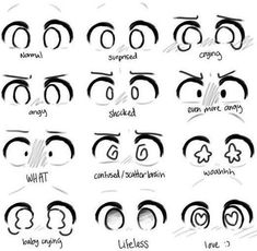 an image of different types of eyes