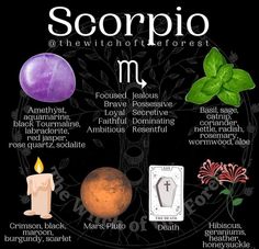 the zodiac sign for scorpio is shown in this graphic above it's description