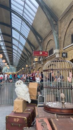 people are waiting in line at the train station for their luggage to be picked up