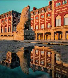 a statue of a bear sitting in front of a building with its reflection on the water