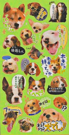 stickers with dogs on green background