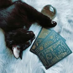 Witchcraft Aesthetic, Magic Aesthetic, Witch Cat, Modern Witch, Tangle Patterns, A Black Cat, Season Of The Witch, Witch Aesthetic, Witchy Woman