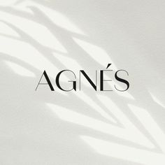 the word agnes's is shown in black and white on a light gray background