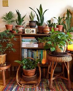 many houseplants and plants are sitting on the shelves in this room, along with books