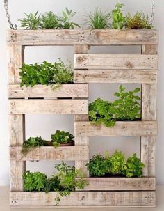 several wooden pallets filled with plants on top of each other in front of a white wall