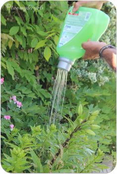 someone is pouring water from a green watering can