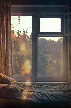 the sun shines through an open window onto a bed in front of a forest