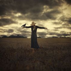 a scarecrow standing in the middle of a field with two crows on his head