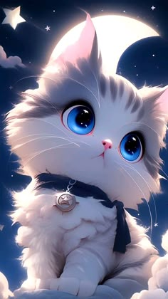 a white cat with blue eyes sitting in the clouds