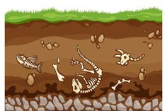 an image of a skeleton in the ground with rocks and grass around it - animals characters