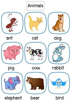 English For Kids, Animal Flashcards, Preschool Activities Toddler, English Phonics, Flashcards For Kids