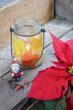 a glass jar filled with autumn leaves next to a red poinsettia