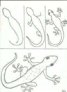 the letter g is for gecko and an image of a lizard with its legs spread out