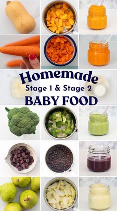 homemade stage 1 and stage 2 baby food is shown in this collage with images