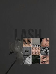 Eyelash Lift And Tint, Black And White Photo Wall, Eyelash Lift, Lash Artist, Instagram Inspo, Instagram Aesthetic, Dark Aesthetic, Eyelash Extensions, Eyelashes