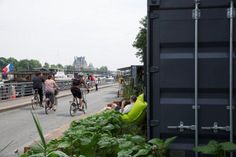 several people riding bikes on a road with lots of green plants